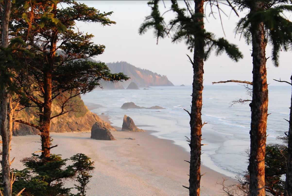 Trees, beach and Ocean of west coast America