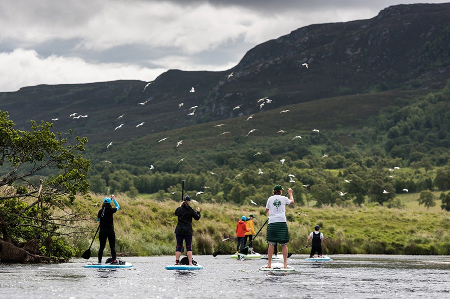 group of paddle boarders on river spey as birds fly overhead