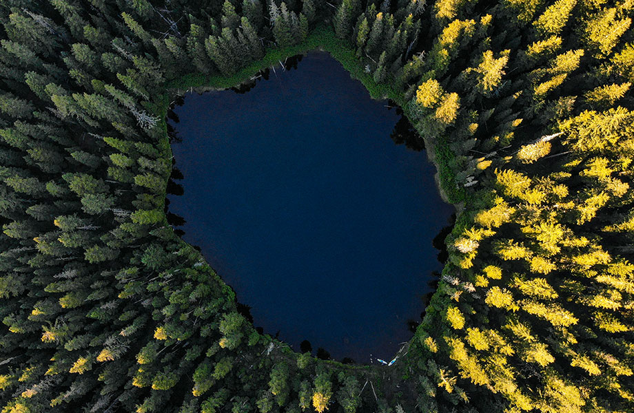 lake surrounded by trees