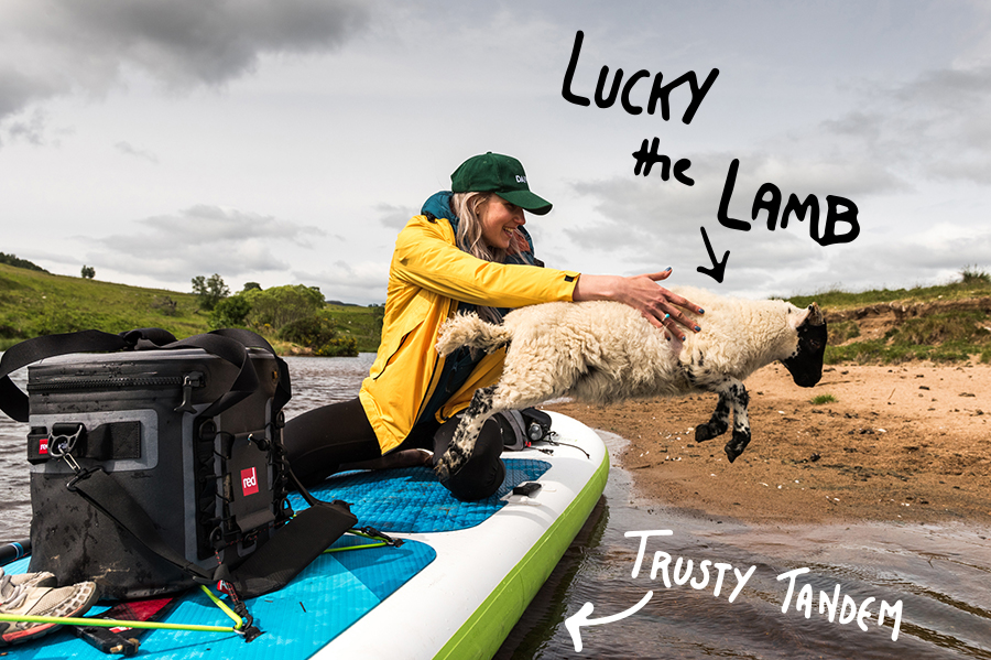girl rescues lamb at it leaps to the land