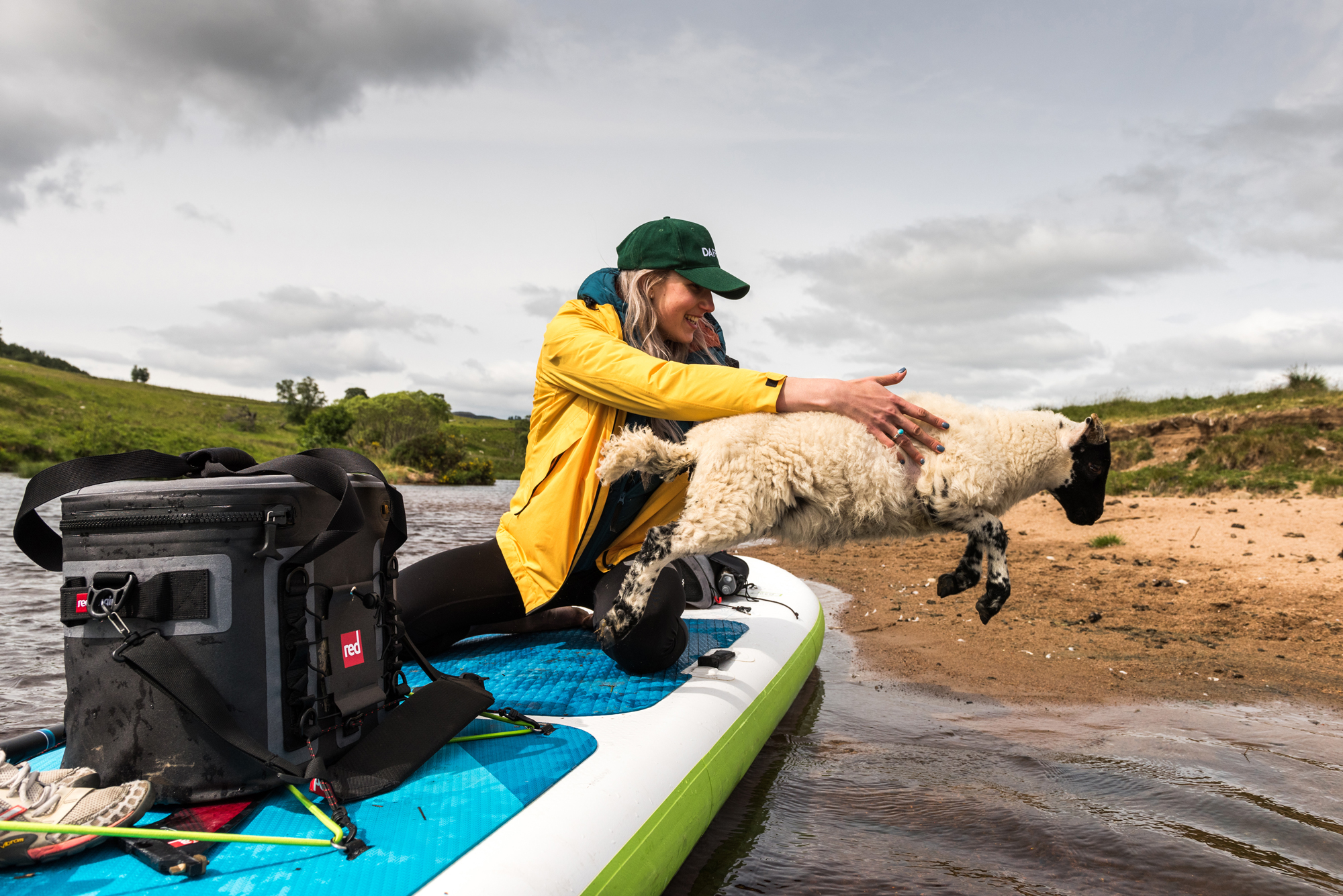 laughing woman helping a lamb off an inflatable paddle board